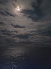 Waxing Moon on a Dark Tropical Night