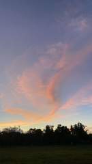 Orange Sky