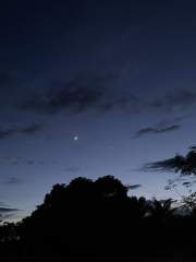 New Moon and Venus