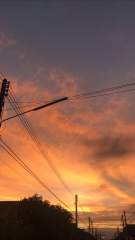 Orange sky at dawn with overhead power cables