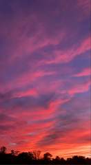 Pink sky at night? Or pink sky in the morning?!!