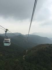 Cable Car Ride