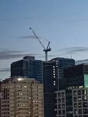 Craine at the top of the sky