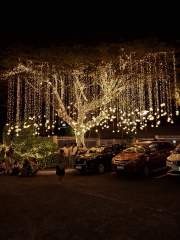 Tree of light