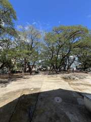 Freedom Park’s view