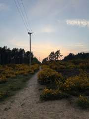 Marching into the Sunset