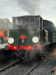 Terrier Tank “Freshwater”