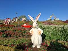 Jenny's Photo Album 🌻